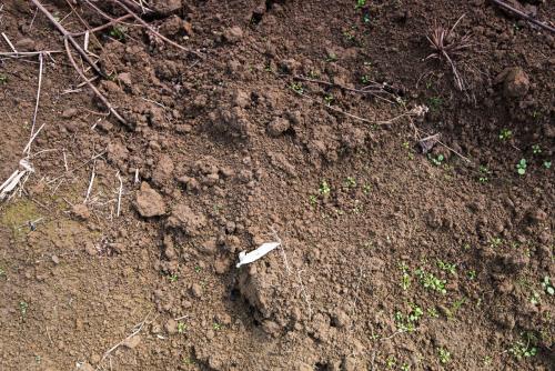 土壤肥料養(yǎng)分速測(cè)儀