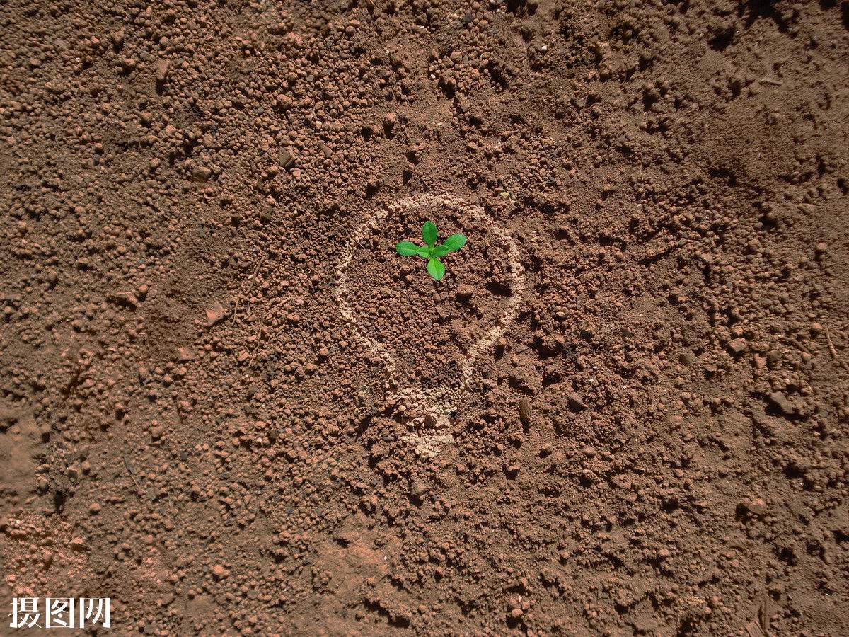 土壤養(yǎng)分速測(cè)儀