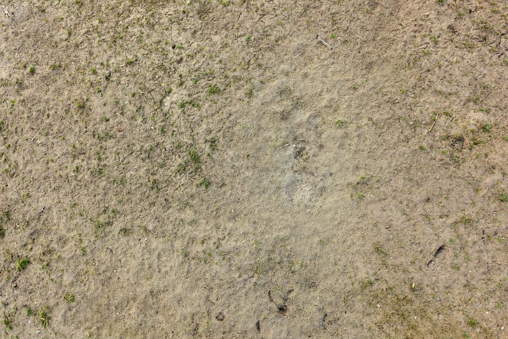 土壤肥料養(yǎng)分速測(cè)儀