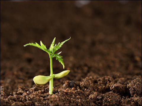 土壤養(yǎng)分速測(cè)儀