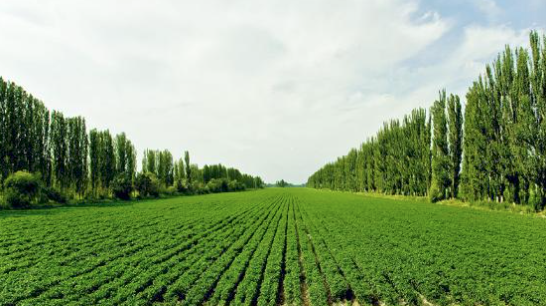 智能土壤養(yǎng)分測試儀