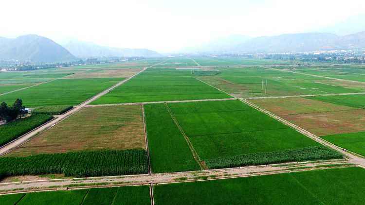 土壤ph測(cè)定儀